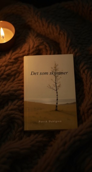 Boken på en filt i kvällsljus
