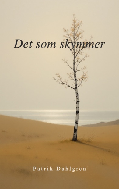 Bokomslag till romanen Det som skymmer av Patrik Dahlgren